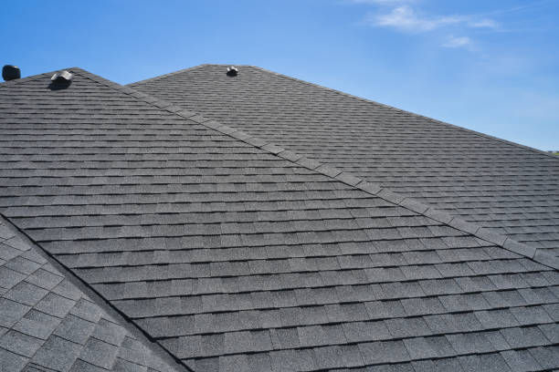 Best Skylight Installation and Repair  in Lake Belvedere Estates, FL